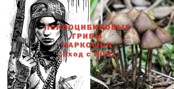 ПСИЛОЦИБИНОВЫЕ ГРИБЫ Дмитров