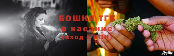 кокс Дмитриев