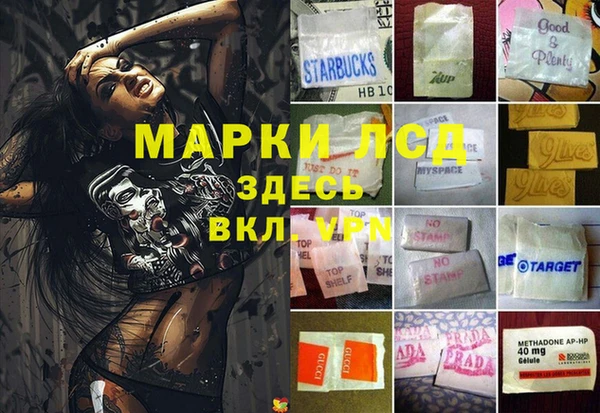 ПСИЛОЦИБИНОВЫЕ ГРИБЫ Дмитров