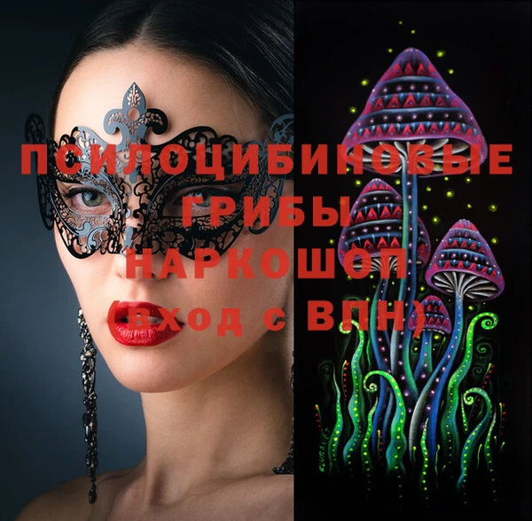 ПСИЛОЦИБИНОВЫЕ ГРИБЫ Дмитров