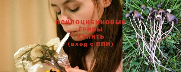 кокс Дмитровск