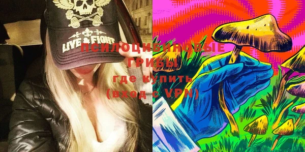 ПСИЛОЦИБИНОВЫЕ ГРИБЫ Дмитров