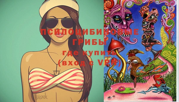 кокс Дмитровск
