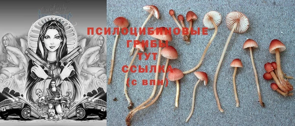кокс Дмитриев