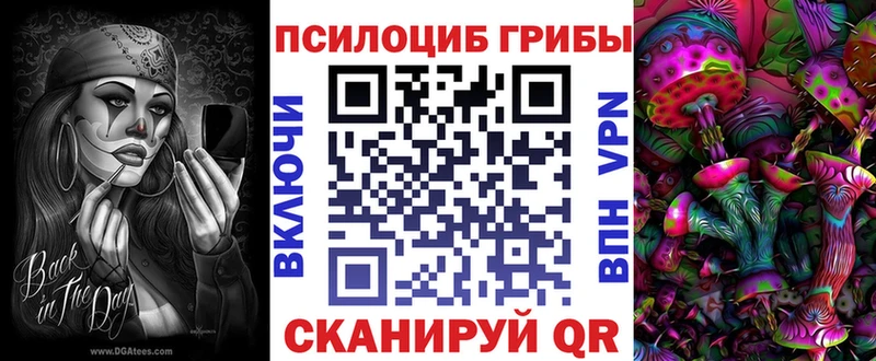 закладки  Николаевск  Галлюциногенные грибы мицелий 